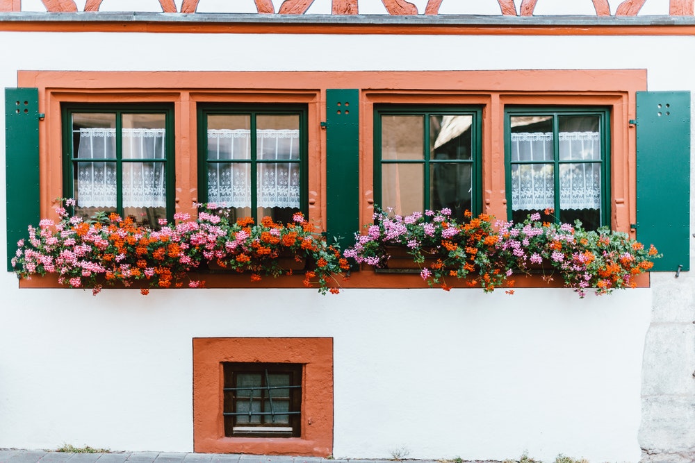 Colorful flowers decorate the windows in contrast to the white wall.
